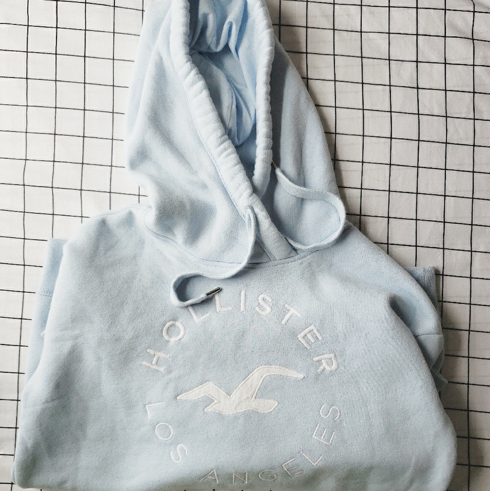 Hollister thick hoodies